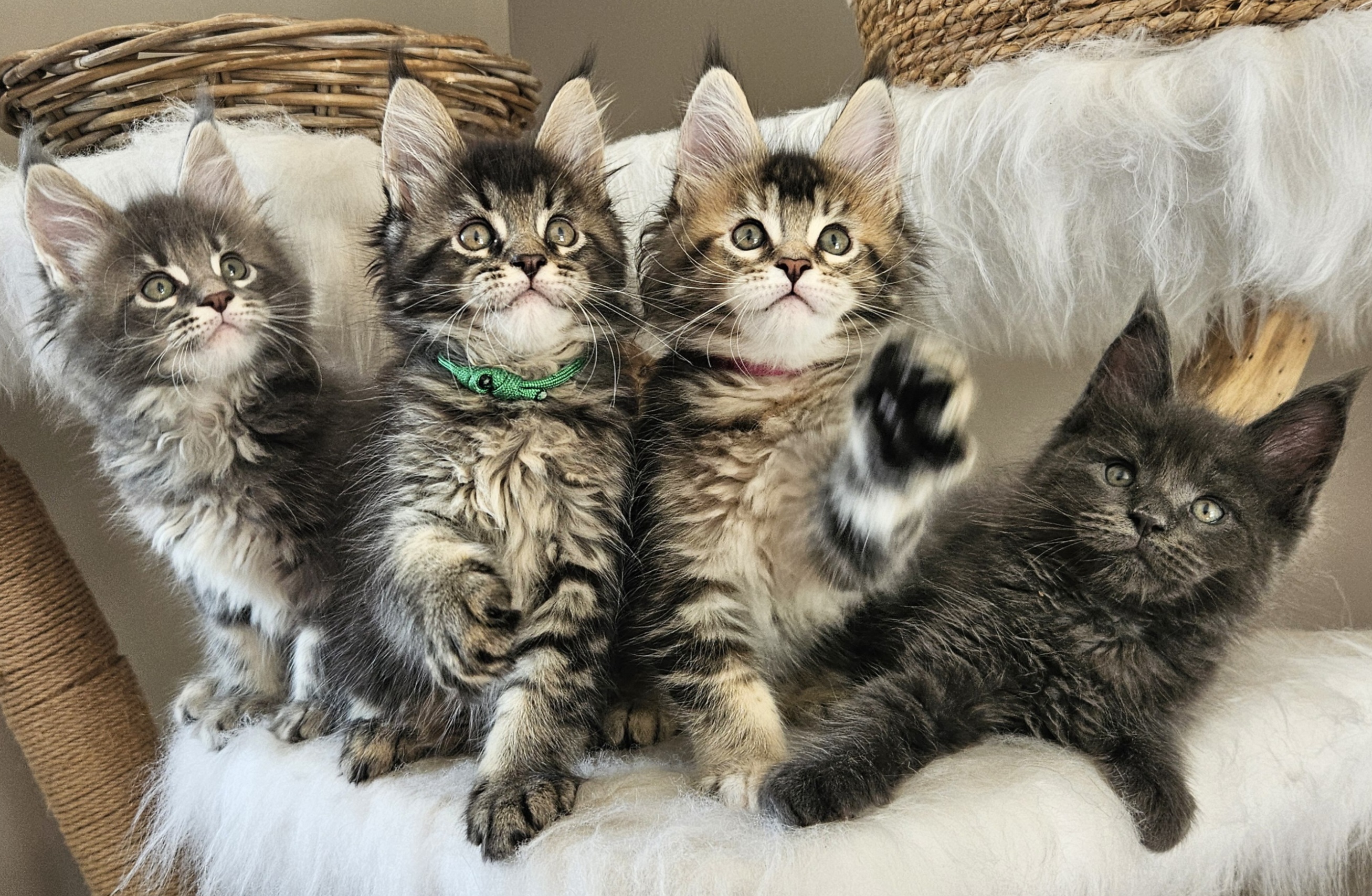 20240630_184831 (1).jpg