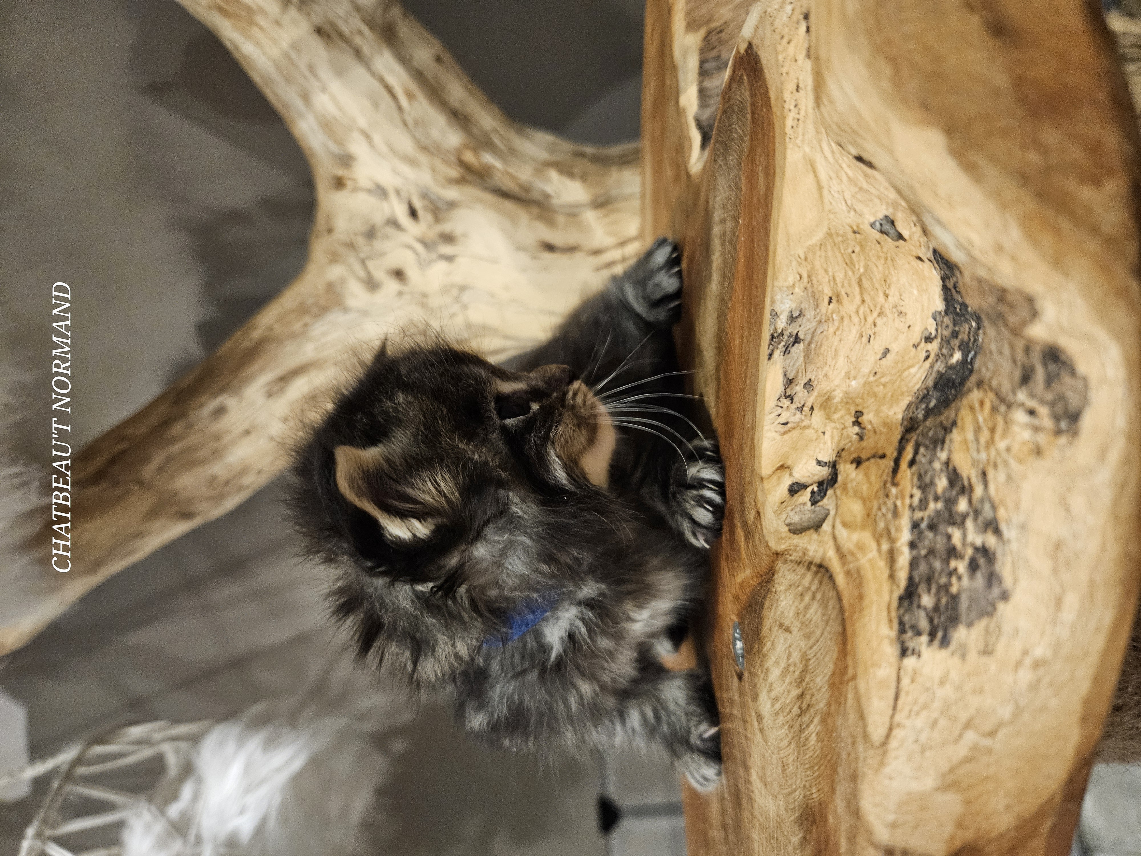 20241121_193555 (1).jpg