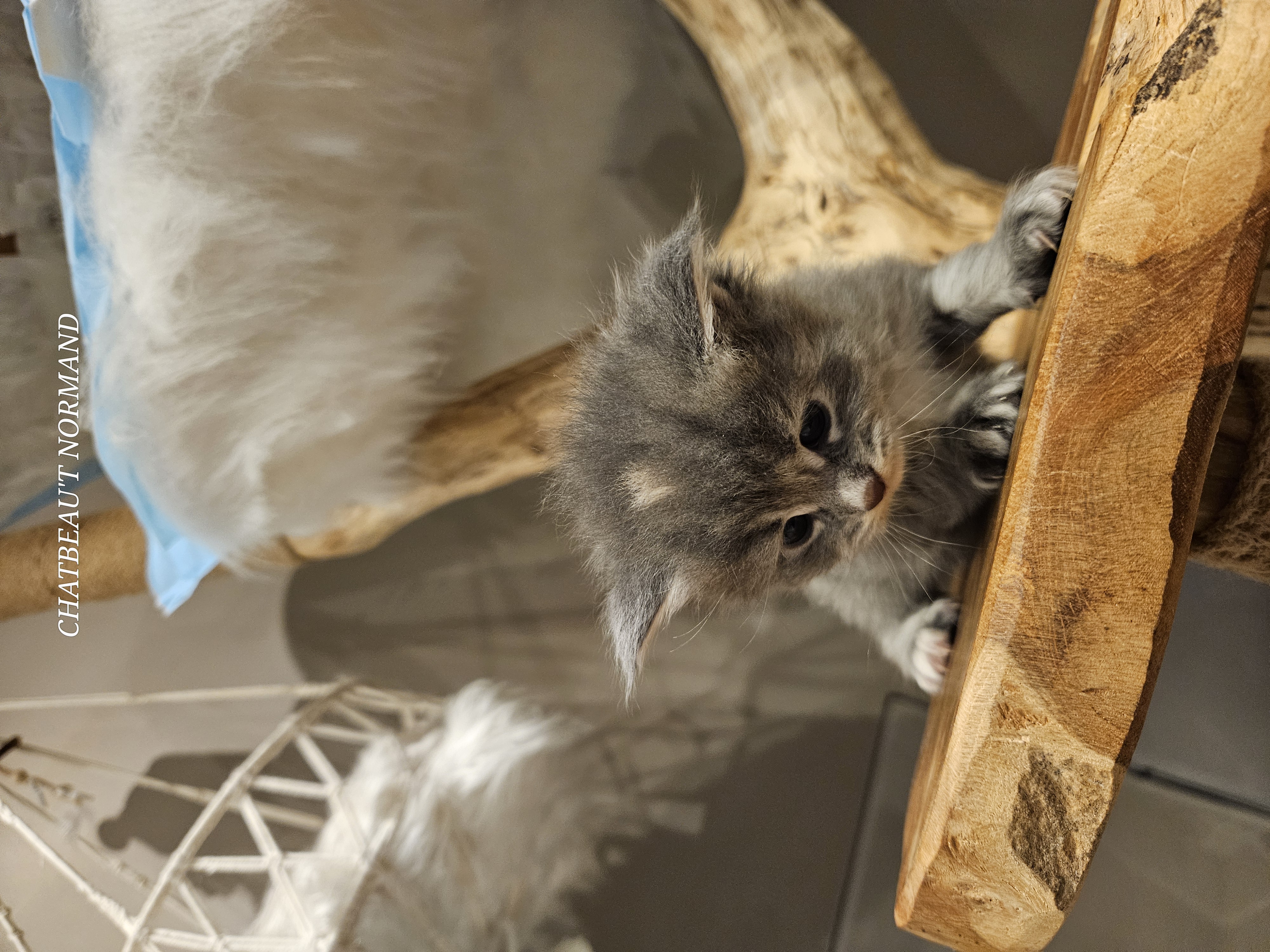 20241121_193235 (1).jpg