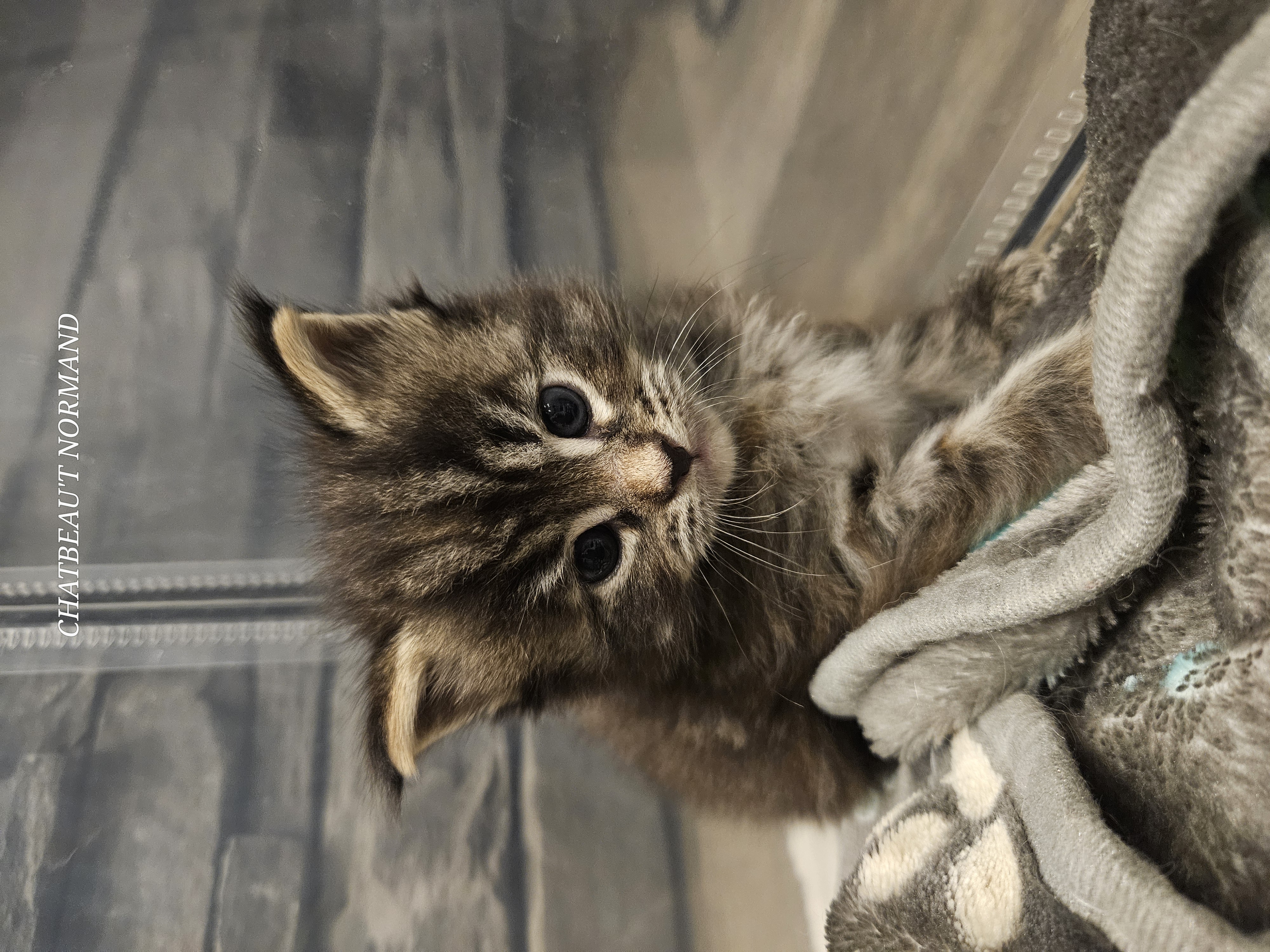 20241125_200125 (3).jpg