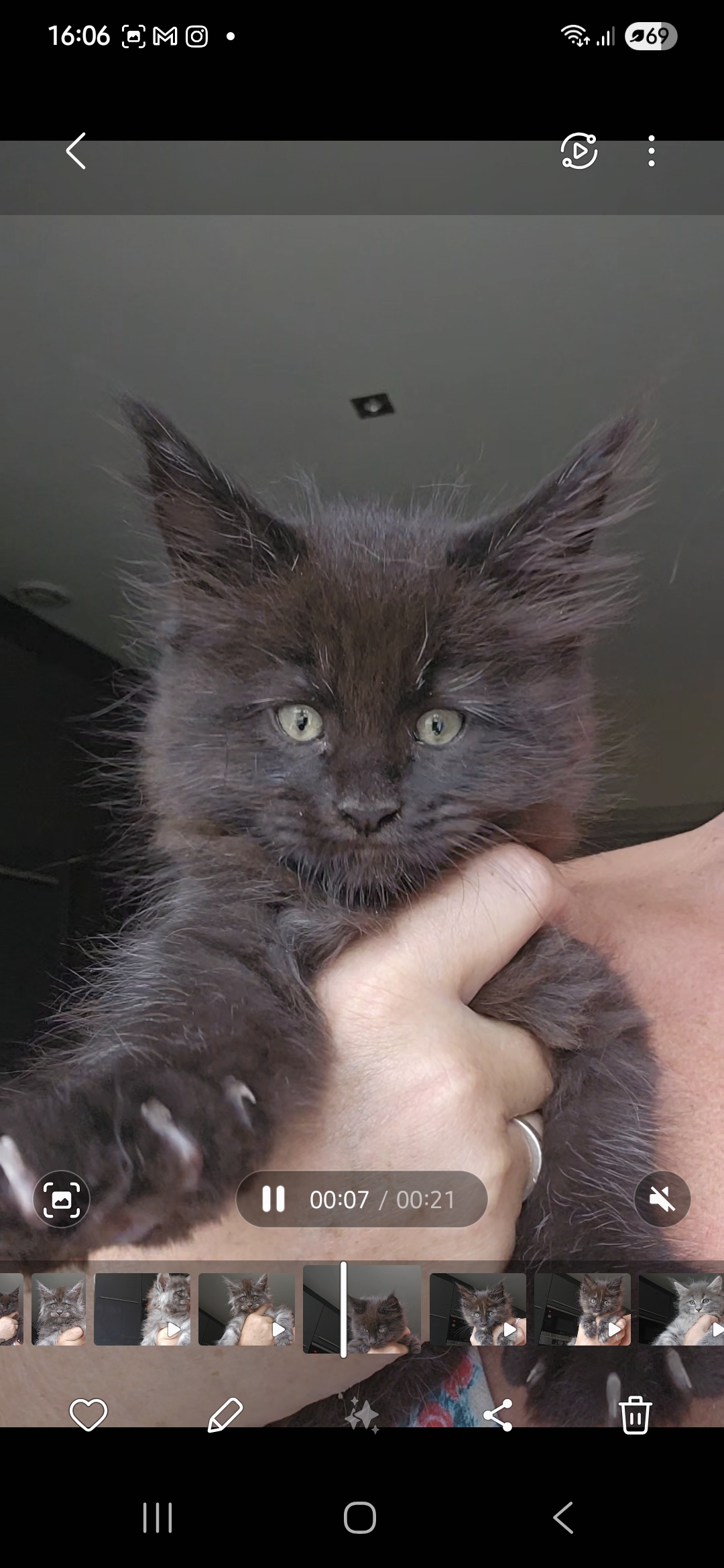 Screenshot_20250702_160637_Gallery (1).jpg