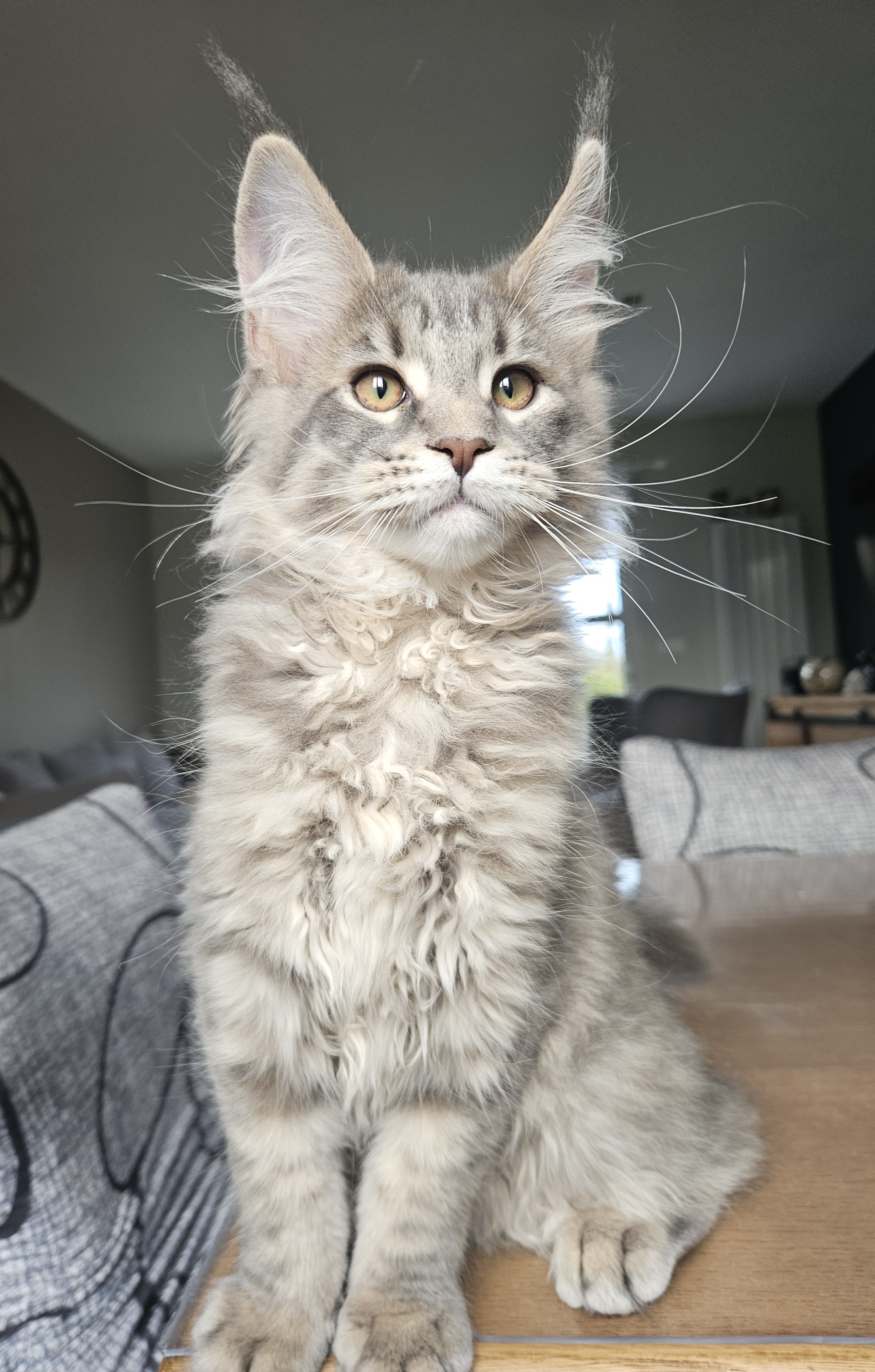 20251103_121618 - Copie.jpg