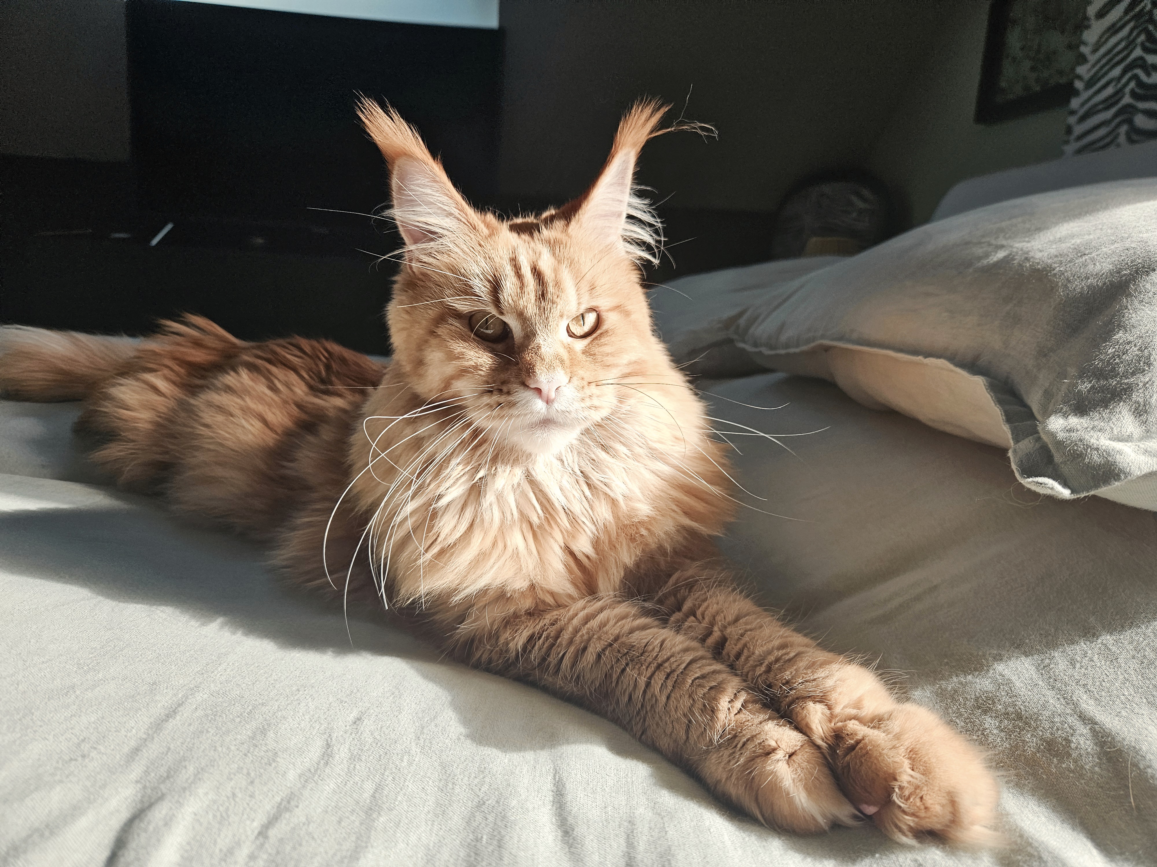 20260303_140127 (1).jpg