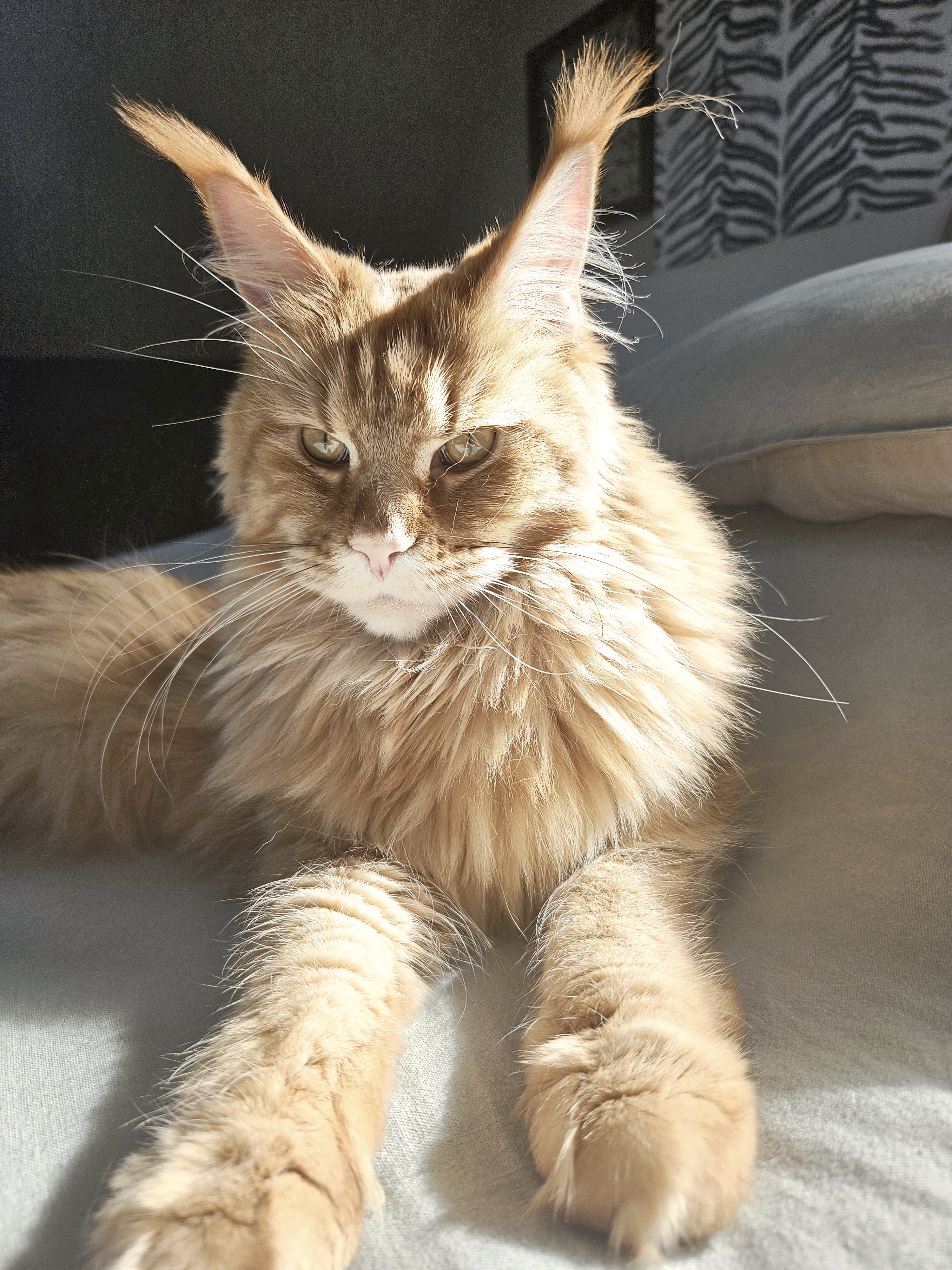 20260303_140400 (1).jpg